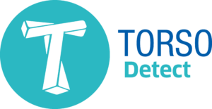 Logo TORSO Detect Cmyk