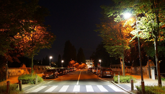 Public Lighting Biodiversity